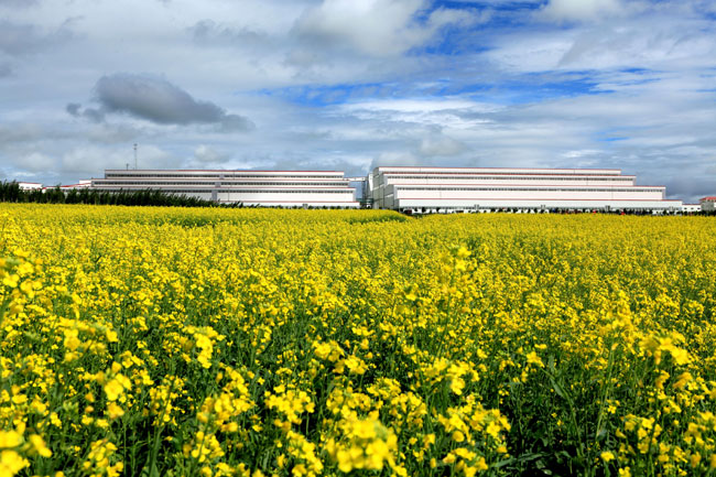 Chinese gold group Inner Mongolia Mining Co. Ltd